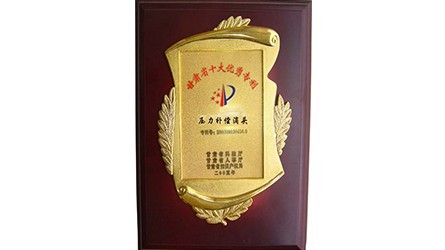 甘肅省十大優(yōu)秀專利—壓力補(bǔ)償?shù)晤^