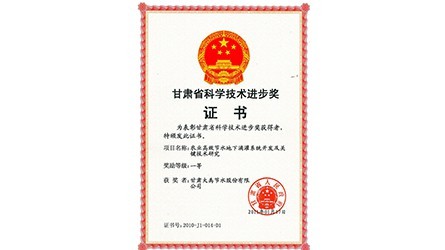 甘肅省科學(xué)技術(shù)進(jìn)步一等獎(jiǎng)