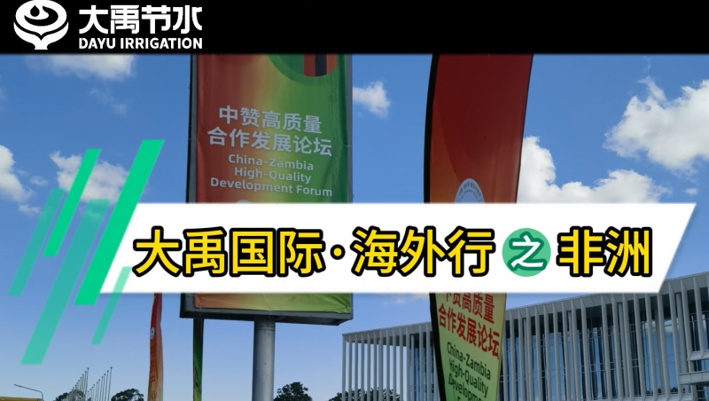 大禹國(guó)際·海外行之非洲