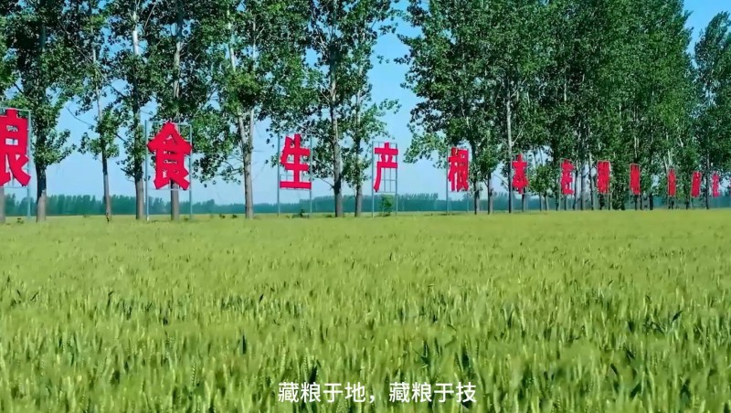 大禹節(jié)水：破解高標準農(nóng)田建設難題，扛牢糧食安全重擔，以科技與責任交出了一份創(chuàng)新答卷。